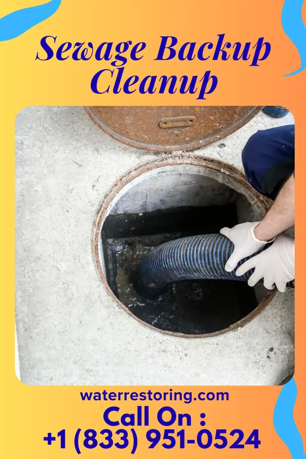 Sewage Backup Cleanup in Ambia, IN